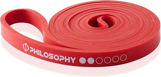 Philosophy Gym Pull Up Assist Band - Resistance Power Loop Exercise Band