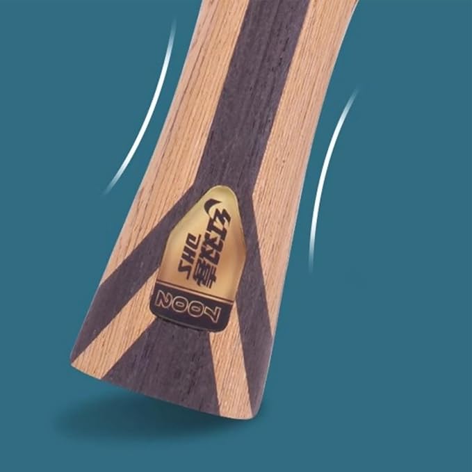 DHS Ping Pong Paddle Professional Racket - Table Tennis Racket with Carrying Case - ITTF Approved Rubber for Tournament Play - Best Table Tennis Paddle