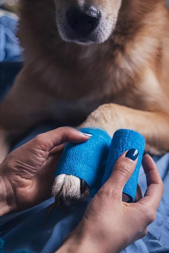 24 Rolls Self Adhesive Bandage Wrap, Vet Wrap 4 Inch for Horses Dogs Wounds Care Dressings, Elastic Self Stick Cohesive Bandage Wrap, Wrist, Sports, Ankle Tape Leg Wraps (Mixed)
