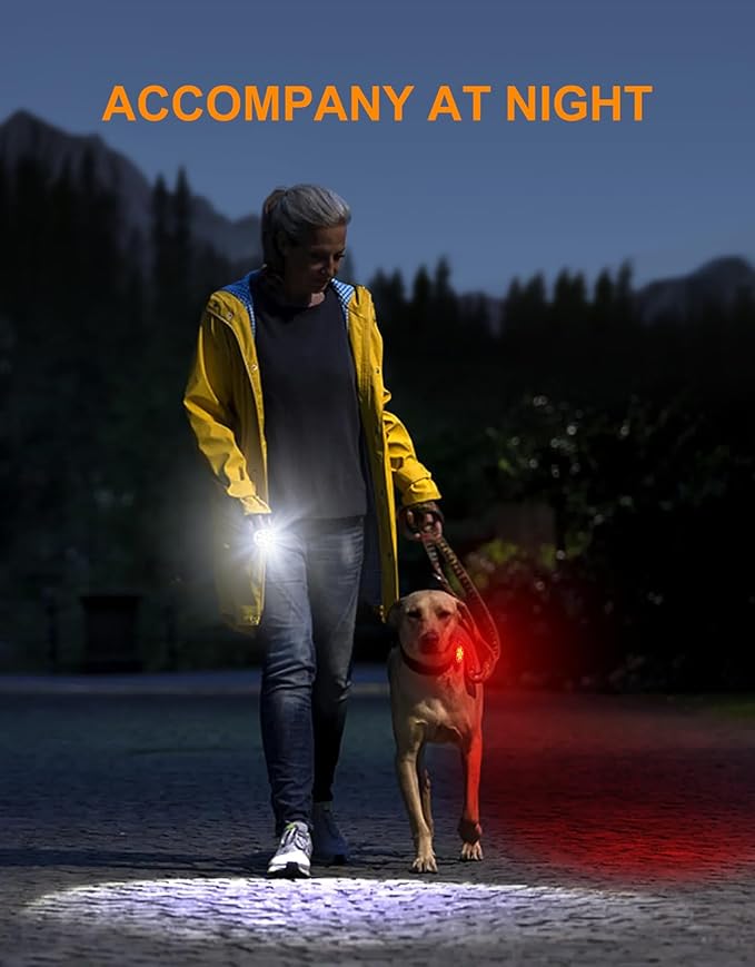 Bike Lights, [8+12 Modes & USB Rechargeable] Ultra Bright LED Bike Lights for Night Riding Front and Back Flashlight, IP65 Waterproof Bicycle Headlight and Tail Light Set for Cycling