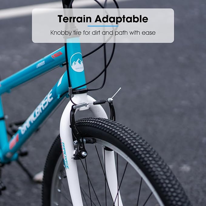 Hiland Adult 26 Inch Mountain Bike, Mens and Womens Bicycle with 21 Speed, High-Carbon Steel Frame Mountain Bicycle, Sport MTB for Men Women