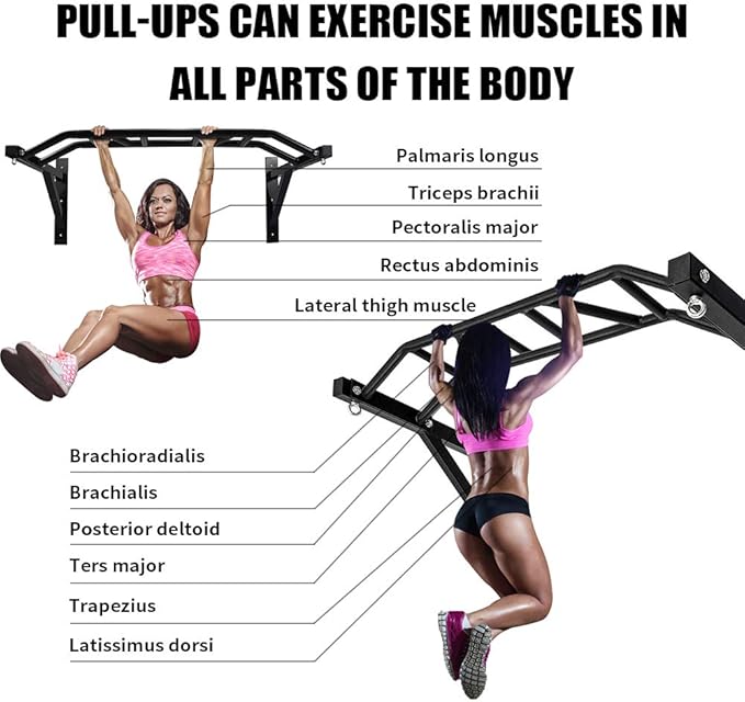 BESTHLS Wall Mounted Pull Up Bar and Dip Station, Heavy Duty Wall Mount Pull-up Chin Up Bar Multifunctional Home Gym Workout Indoor Exercise Equipment Support to 440 Lbs