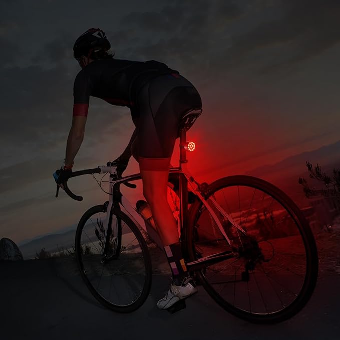 Ascher USB Rechargeable LED Bike Tail Lights 2 Pack, Bright Bicycle Cycling Rear Light, 4 Light Mode Options Safety Bike Light for Adults Kids Men Women Road Mountain(2 USB Cables Included)