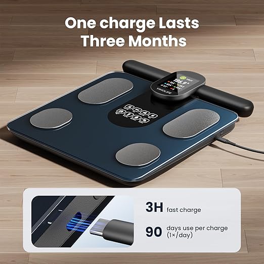 Scale for Body Weight, 8 Electrode Smart Bathroom Scale with BMI Body Fat Muscle Mass 28 Full Body Composition, High Precision Digital Weight Scale with Handle Display, Rechargeable, 400 lbs