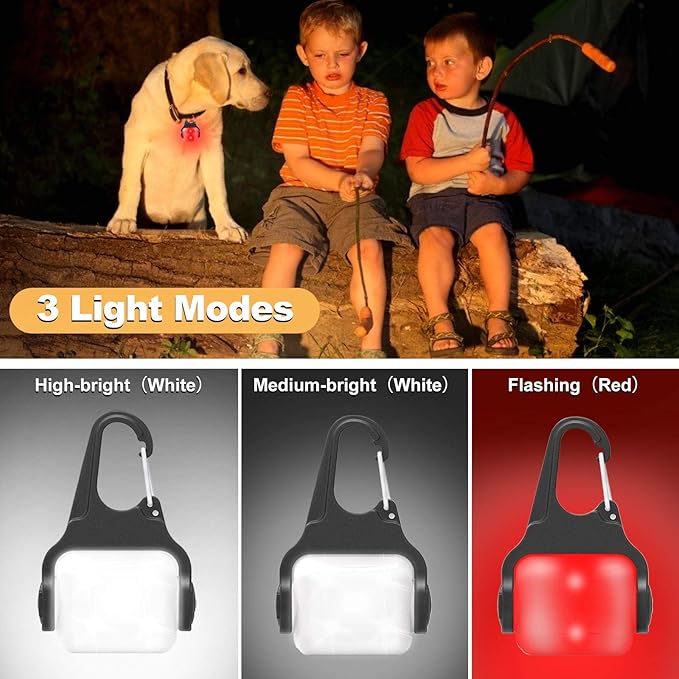 Clip-on USB-C Rechargeable Night Walking Dog Collar Light - 3 Modes, IP65 Waterproof, LED Safety Light for Running, Camping, Climbing, Bike - 2 Pack