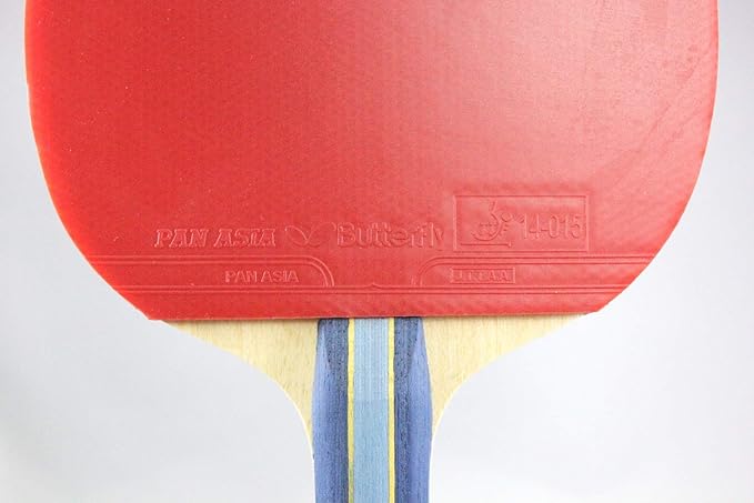 Butterfly B501FL Shakehand Table Tennis Racket | China Series | Racket and Case Set with Balanced Speed and Spin | Recommended for Beginning Level Players, Multi