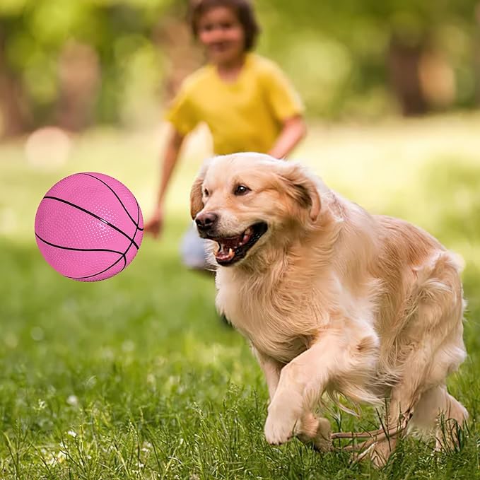 Shindel Mini Basketball, 6PCS 6.3 inches Basketballs with Pump for Birthday Gifts for Toddlers Kids, Playground Balls for Pool, Indoors, Outdoors