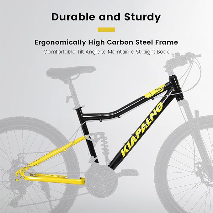 26 Inch Mountain Bike Dual Suspension for Mens Boys, 21 Speeds Steel Women Girls Mountain Bike Summer Travel Trip, Disc Brakes Adult Teens Sport Men Women Bicycle for Trail Commuter City Road