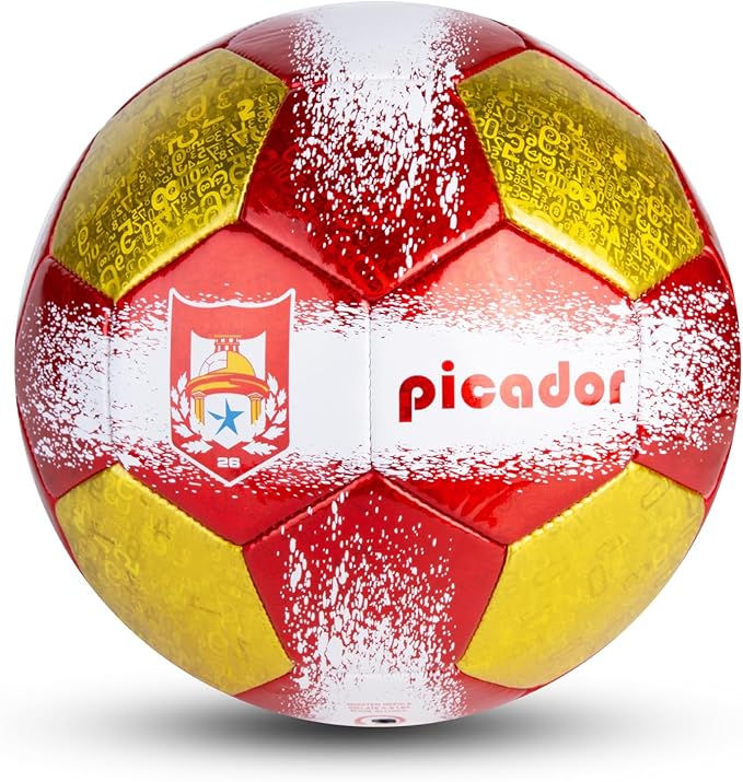 Size 4 Soccer Balls, Laser Leather Soccer Ball for Sport Training & Match Play - Vibrant Soccer Balls Gift Set with Pump for Kids and Youth