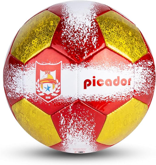 Size 4 Soccer Balls, Laser Leather Soccer Ball for Sport Training & Match Play - Vibrant Soccer Balls Gift Set with Pump for Kids and Youth