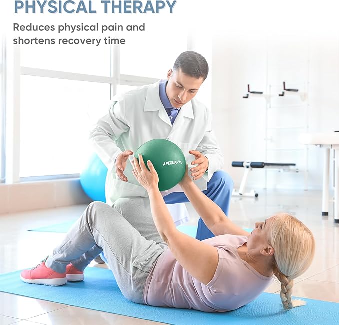 APEXUP Yoga & Pilates Ball - Anti Slip Heavy Duty Gym Ball for Fitness, Balance & Core Workout