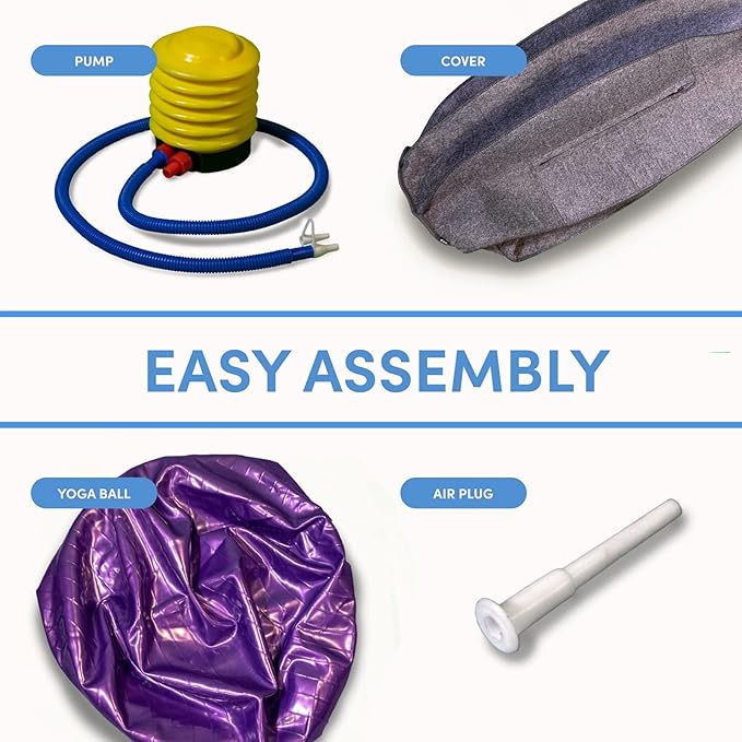 LifeSpan Fitness Anti-Slip Felt Cover Yoga Ball Chair with Handle & Back Support, Office, Home Gym, Pregnancy, Balance Training, Inflator Included (Charcoal Gray, 25 Inch)