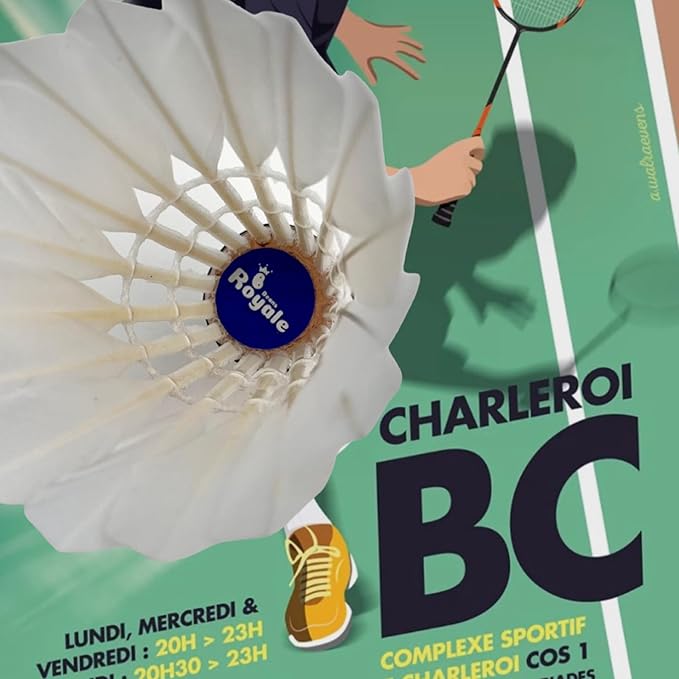 Badminton Shuttlecocks 12-Pack (All Round Feather) Duck Feather with Great Durability Stability and Balance,Suitable for Professional Training Or Family Outdoor Sports (Duck Feather)