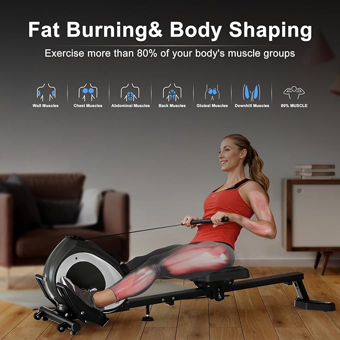 Rowing Machine for Home, Magnetic Rower Machine with Quiet Resistance, Foldable Rower for Home Use, Burn Fat & Sculpt Muscles