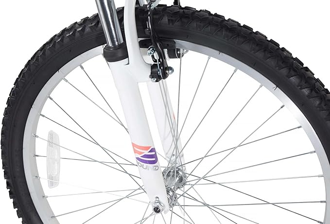 Dynacraft Magna Echo Ridge Mountain Bike – Rugged and Durable Design, Perfect for Teens and Adults Learning to Ride, Sturdy and Easy to Assemble, Ideal for Adventurers