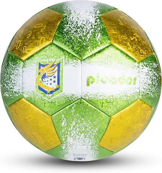 Size 4 Soccer Balls, Laser Leather Soccer Ball for Sport Training & Match Play - Vibrant Soccer Balls Gift Set with Pump for Kids and Youth