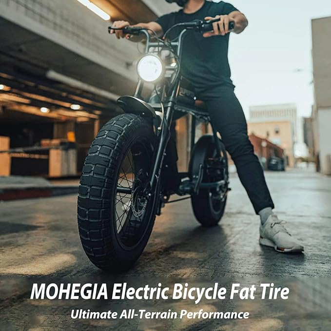 MOHEGIA E-bike Fat Tires Replacement Set: 2 Pack 20x4.0 inch Electric Bicycle Tires, Pair Inner Tubes with Tire Levers, High-Performance with Street or Urban Road Riding