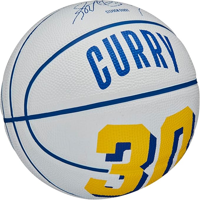 WILSON NBA Player Icon Basketballs - Size 3 and Size 7