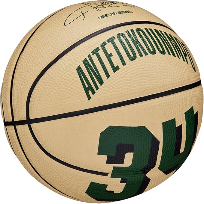 WILSON NBA Player Icon Basketballs - Size 3 and Size 7