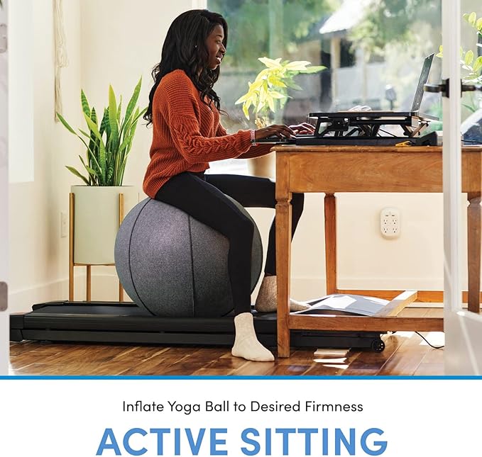 LifeSpan Fitness Anti-Slip Felt Cover Yoga Ball Chair with Handle & Back Support, Office, Home Gym, Pregnancy, Balance Training, Inflator Included (Charcoal Gray, 25 Inch)