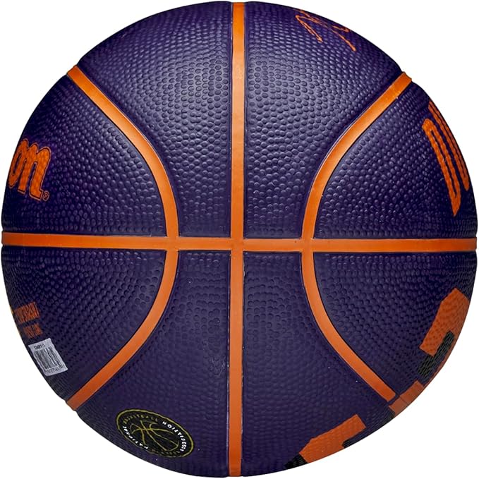 WILSON NBA Player Icon Basketballs - Size 3 and Size 7