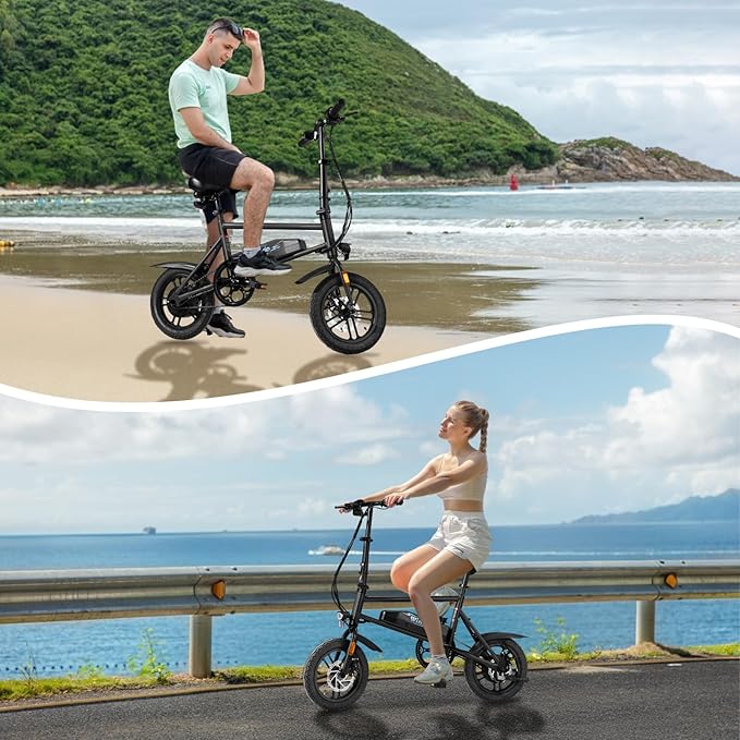 Winado Electric Bike for Adults, 14" Folding Electric Bicycle 450W Motor with Dual Disc Brakes, Max Range 25Miles(Pedal-Assist) & Speed 15.5MPH, Foldable Commuter City Ebike for Adults/Teens