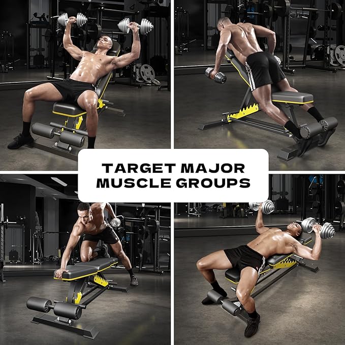 Heavy Duty Bench Adjustable Workout Bench Press Set for Home Gym Strength Training, Multi-Functional Roman Chair with Headrest, Max Load 1200 (DZ-025)