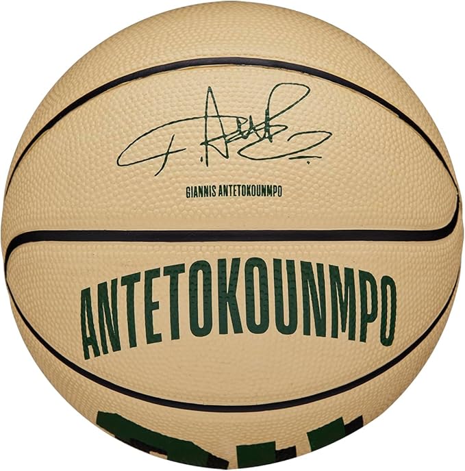 WILSON NBA Player Icon Basketballs - Size 3 and Size 7