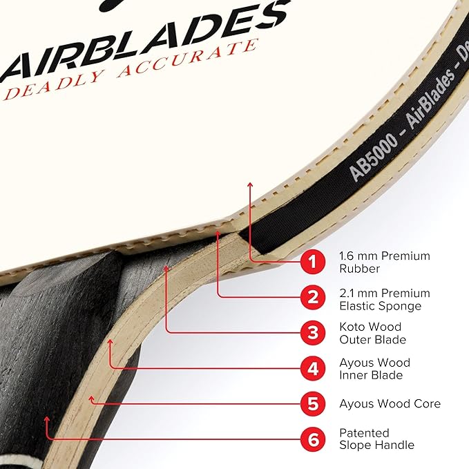 Professional Ping Pong Paddle with Hard Carry Case | Pro Table Tennis Racket | Table Tennis Paddle with Ergonomic Handle | 5 Blades of Wood with Premium Rubber and Sponge by AirBlades