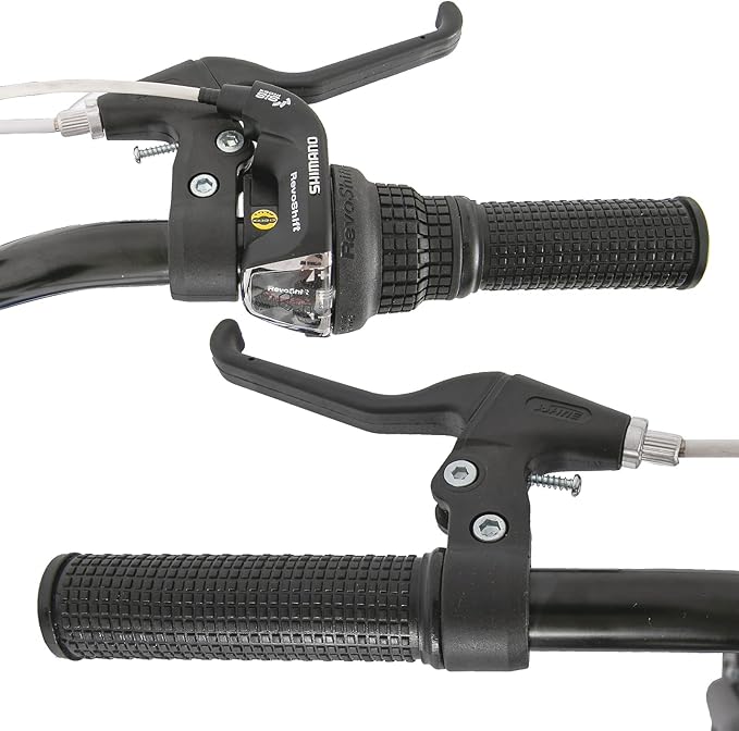 JOYSTAR 20 Inch Mountain Bike for Kids Ages 7-12 Year Old, 3-Inch Wide Knobby Tires, 7 Speed Shimano Drivetrain, Disc Brakes, Fat Tire Kids Bicycles for Boys Girls