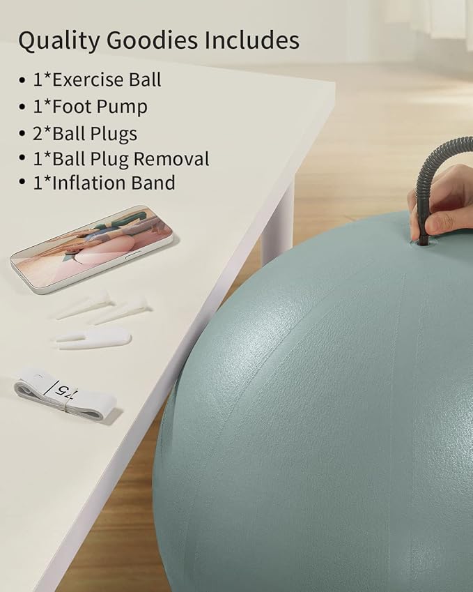 YOTTOY Anti-Burst Exercise Ball for Working Out, Yoga & Pregnancy, Extra Thick Workout Ball for Physical Therapy & Fitness
