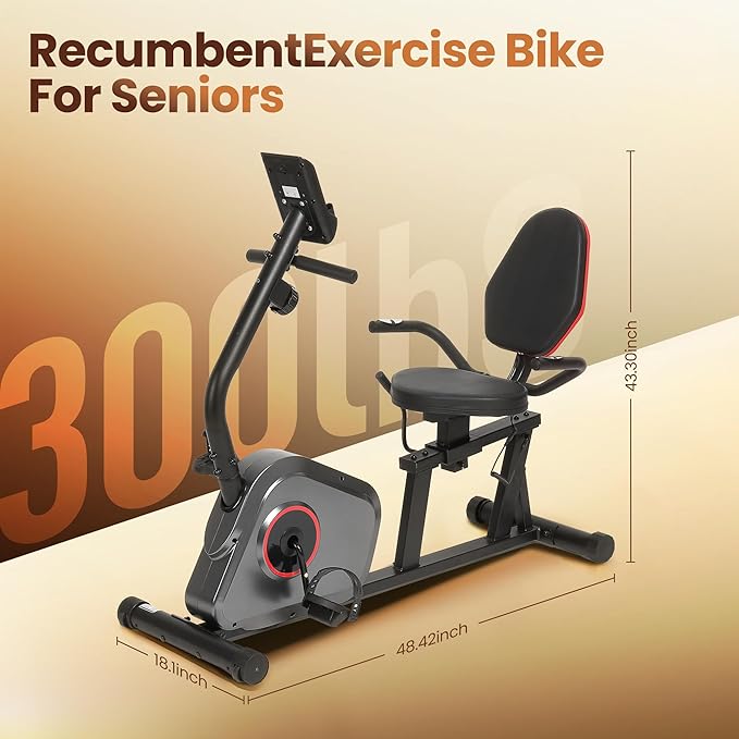 Recumbent Exercise Bike Stationary Bike Exercise Bikes for Home with 8 Levels Magnetic Resistance 300 LBS Weight Capacity LCD Monitor Heart Rate Handle and Device Holder