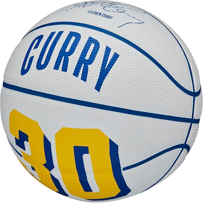 WILSON NBA Player Icon Basketballs - Size 3 and Size 7