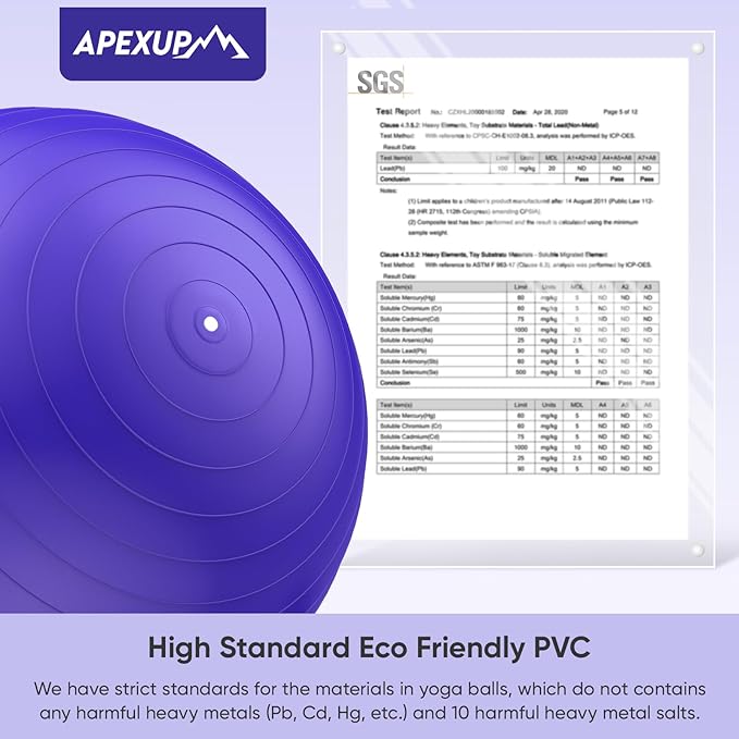 APEXUP Yoga & Pilates Ball - Anti Slip Heavy Duty Gym Ball for Fitness, Balance & Core Workout