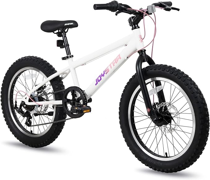 JOYSTAR 20 Inch Mountain Bike for Kids Ages 7-12 Year Old, 3-Inch Wide Knobby Tires, 7 Speed Shimano Drivetrain, Disc Brakes, Fat Tire Kids Bicycles for Boys Girls