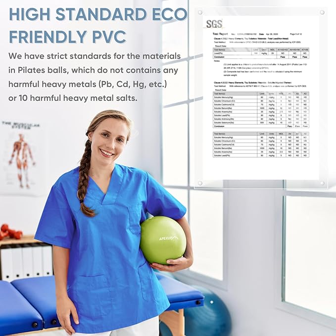 APEXUP Yoga & Pilates Ball - Anti Slip Heavy Duty Gym Ball for Fitness, Balance & Core Workout