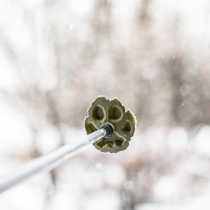 Wolf | Mountain Lion Ski Pole Baskets