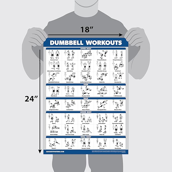 Palace Learning 14 Pack - Exercise Poster Set: Dumbbell, Suspension, Kettlebell, Resistance Bands, Stretching, Muscular, Medicine Ball, Battle Rope, Bodyweight, Barbell, Yoga, Exercise Ball