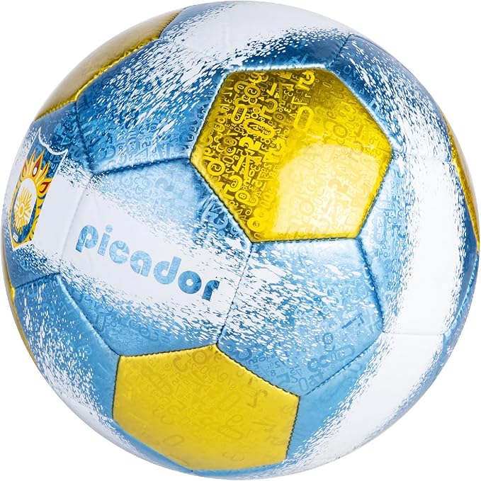Size 4 Soccer Balls, Laser Leather Soccer Ball for Sport Training & Match Play - Vibrant Soccer Balls Gift Set with Pump for Kids and Youth