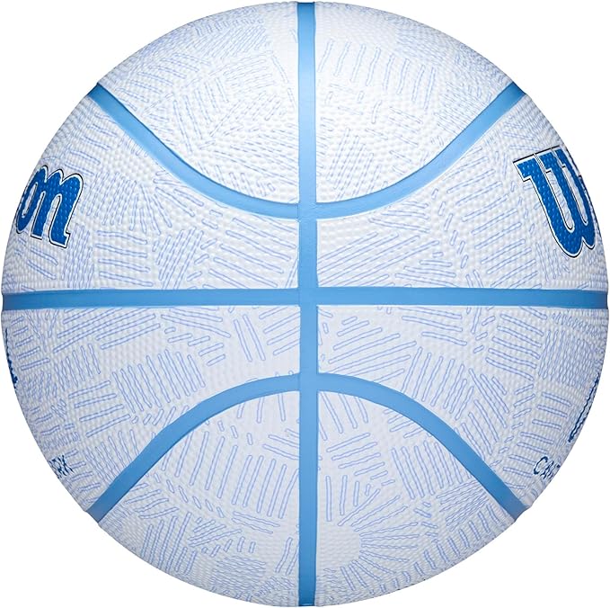 WILSON Caitlin Clark Envision Basketballs