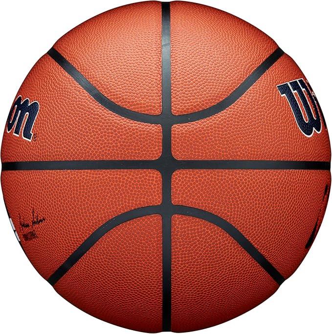 WILSON NBA Team Alliance Basketballs - Size 7-29.5"