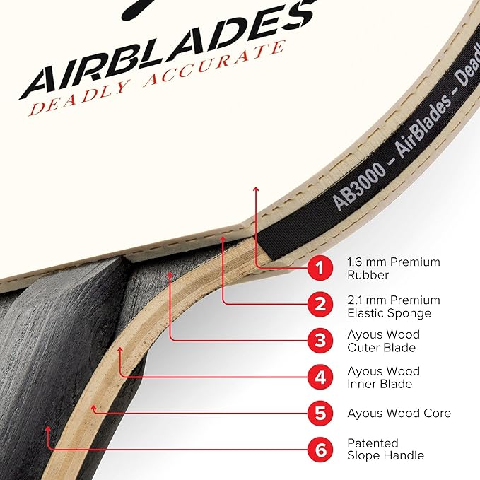 Professional Ping Pong Paddle with Hard Carry Case | Pro Table Tennis Racket | Table Tennis Paddle with Ergonomic Handle | 5 Blades of Wood with Premium Rubber and Sponge by AirBlades