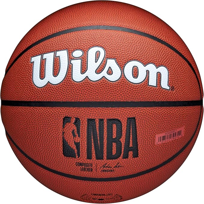 WILSON NBA Team Alliance Basketballs - Size 7-29.5"