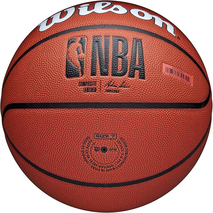 WILSON NBA Team Alliance Basketballs - Size 7-29.5"