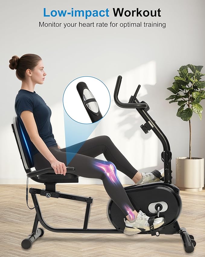 ECHANFIT Recumbent Exercise Bike for Home - 380LBS Weight Capacity, Exercise Bike with Smart Workout APP, 16-Level Magnetic Resistance, Backlit Display, Comfortable Seat