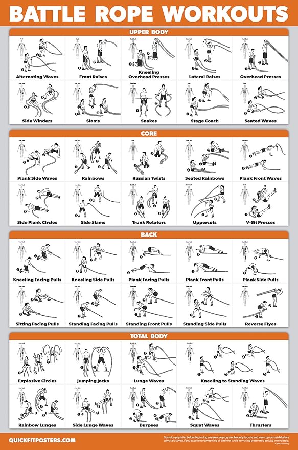 Palace Learning 14 Pack - Exercise Poster Set: Dumbbell, Suspension, Kettlebell, Resistance Bands, Stretching, Muscular, Medicine Ball, Battle Rope, Bodyweight, Barbell, Yoga, Exercise Ball