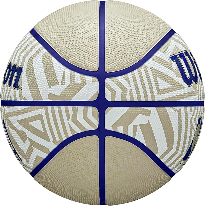 WILSON NBA DRV Plus Dazzle Camo Outdoor Basketballs - Size 6 an Size 7
