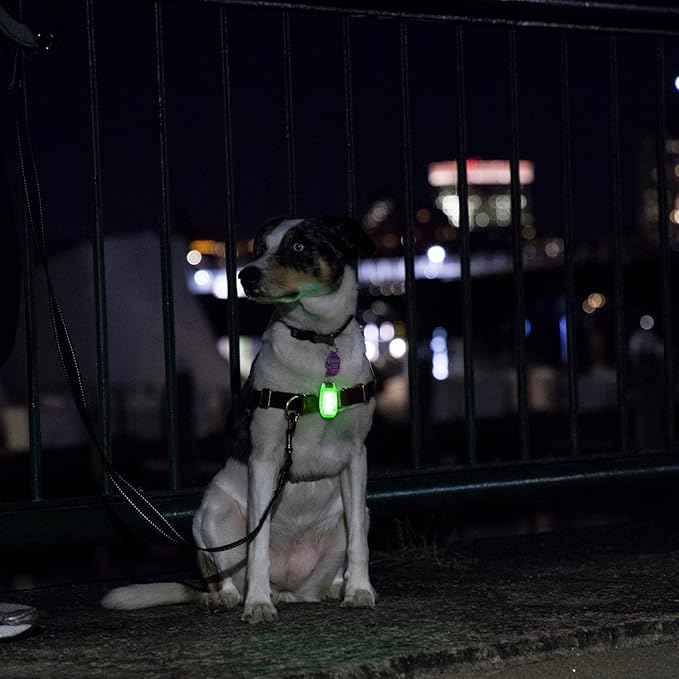 LED Safety Light 2 Pack - Nighttime Visibility for Runners, Cyclists, Walkers, Joggers, Kids, Dogs, Relays & More - Clip to Clothes Strap to Wrist, Ankle, Bike, Collar, or Just About Anywhere!