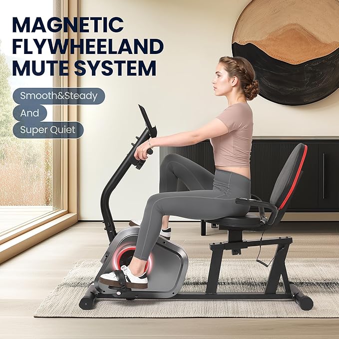 Recumbent Exercise Bike Stationary Bike Exercise Bikes for Home with 8 Levels Magnetic Resistance 300 LBS Weight Capacity LCD Monitor Heart Rate Handle and Device Holder