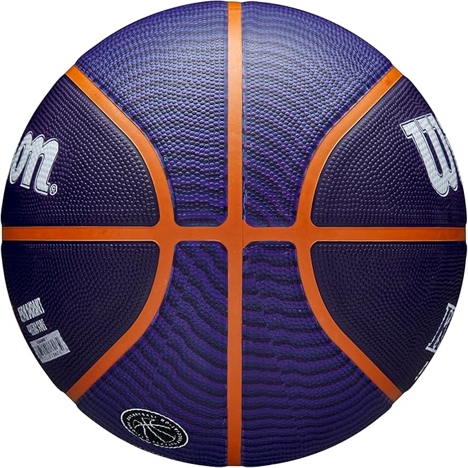 WILSON NBA Player Icon Basketballs - Size 3 and Size 7